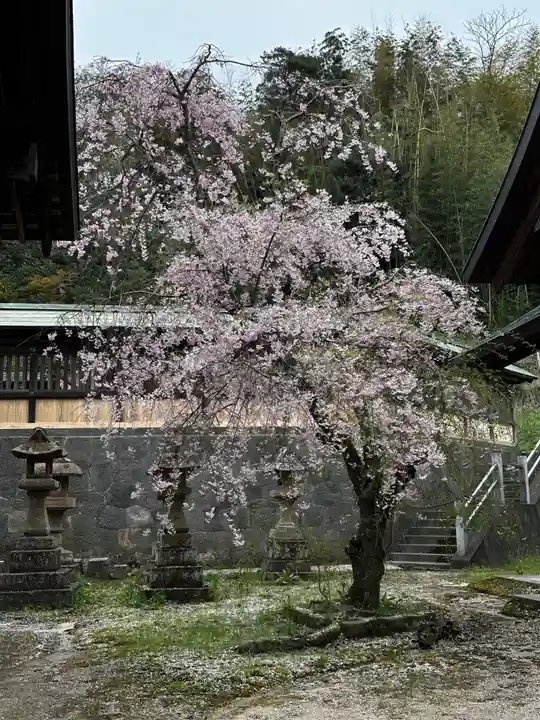 揖夜神社(島根県)
