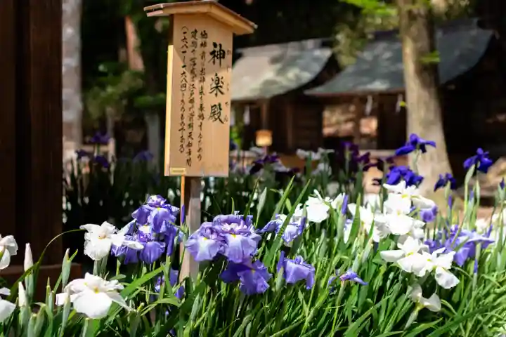 諏訪大社下社春宮(長野県)