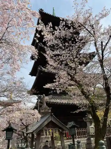 八事山 興正寺(愛知県)