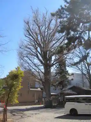 取手八坂神社(茨城県)
