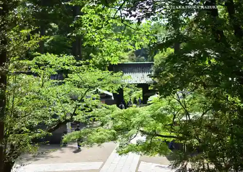 円覚寺(神奈川県)