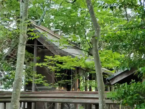 賢木神社の本殿