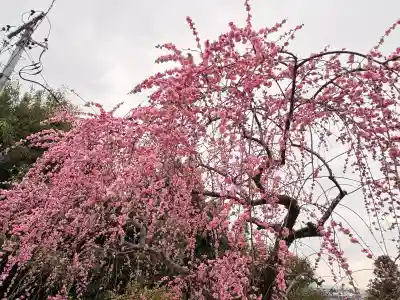 針綱神社の{uncategorized: "未分類", other: "その他", undefined: "問題あり", building: "その他建物", grave: "お墓", sacred_gate: "鳥居", guardian: "狛犬", statue: "像", buddha: "仏像", history: "歴史", nature: "自然", garden: "庭園", animal: "動物", pagoda: "塔", temizu: "手水舎", mountain_gate: "山門・神門", sanctuary: "本殿・本堂", subordinate: "末社・摂社", art: "芸術", scenery: "景色", jizo: "地蔵", ema: "絵馬", goshuin: "御朱印", omikuji: "おみくじ", items: "授与品その他", amulet: "お守り", goshuincho: "御朱印帳", eats: "食事", festival: "お祭り", votive_dance: "神楽", shichigosan: "七五三参", wedding: "結婚式", experience: "体験その他", initially: "初詣", around: "周辺", anti_infection: "感染症対策"}