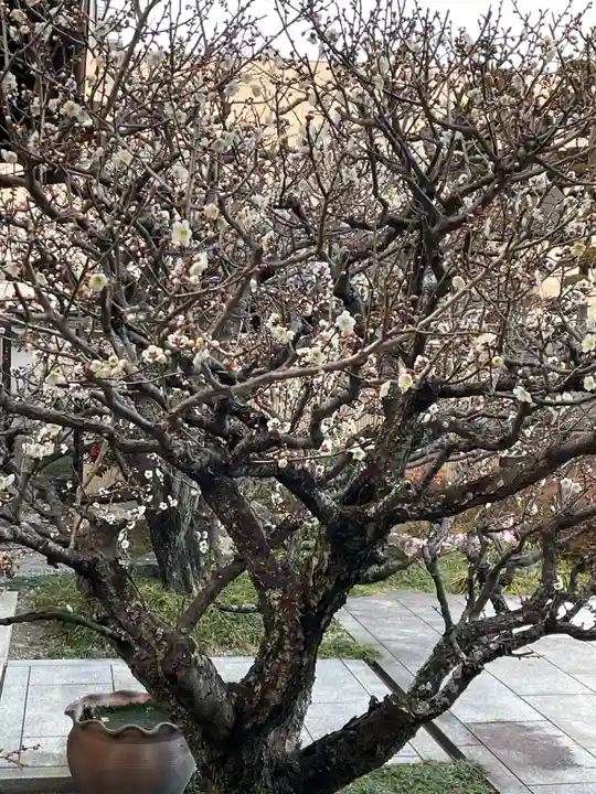 梅香寺(三重県)