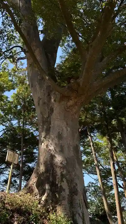 二俣神社(宮城県)
