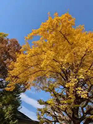 仙寿院(東京都)