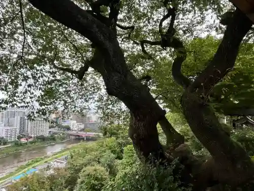 愛宕神社(宮城県)