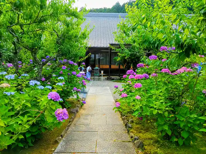 本光寺の自然