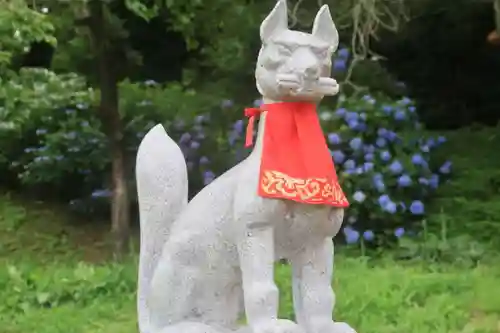 高屋敷稲荷神社の狛犬