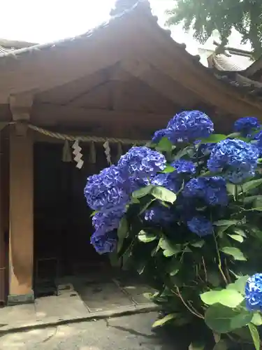 日本橋日枝神社の自然