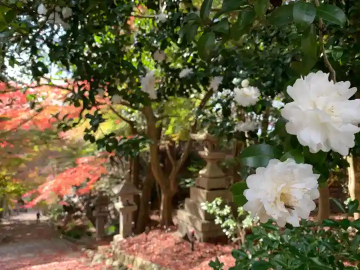 胡宮神社(敏満寺史跡)の自然