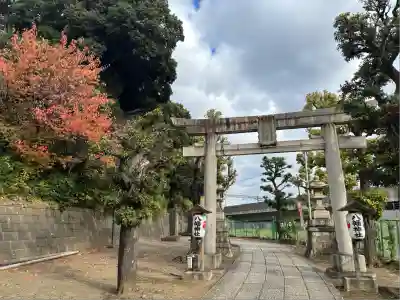 赤羽八幡神社(東京都)