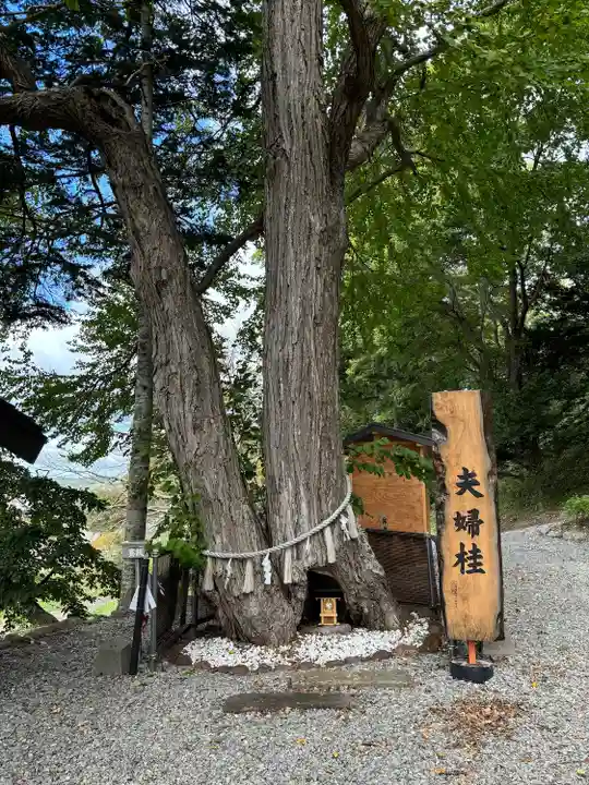 浦幌神社・乳神神社の自然