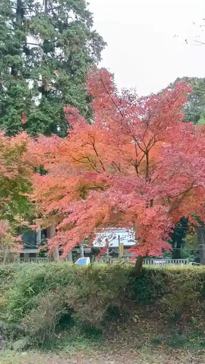 雨引千勝神社(茨城県)