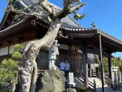 観音寺(徳島県)