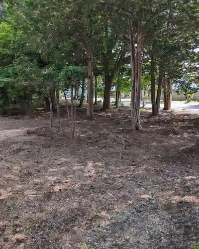 上富良野神社の自然