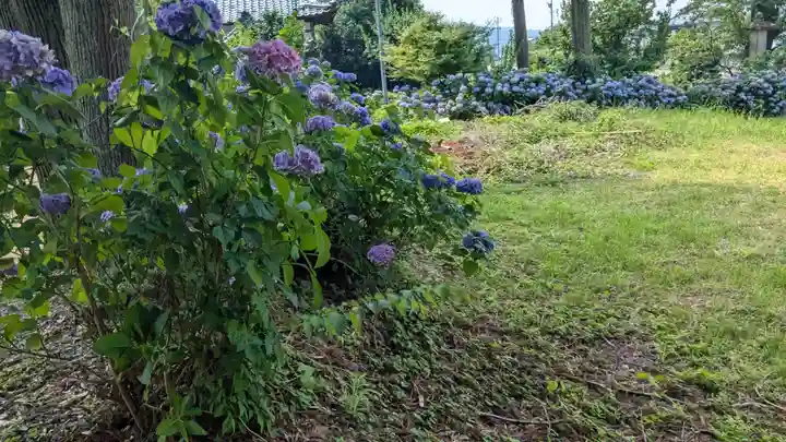 浄妙寺(福井県)