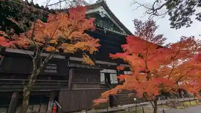 真正極楽寺(真如堂)(京都府)