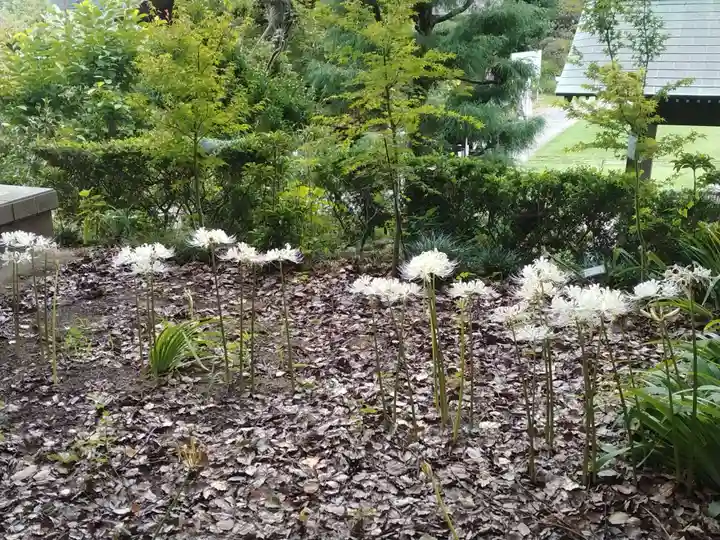 横浜 西方寺の自然