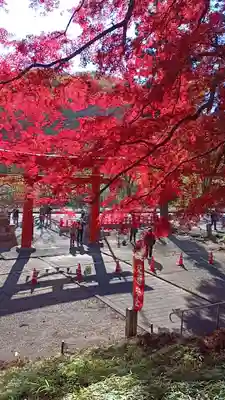 賀茂神社(宮城県)