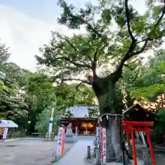 新田神社(東京都)