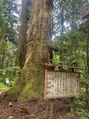 花園神社(茨城県)