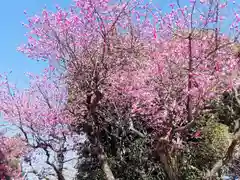 馬橋稲荷神社(東京都)