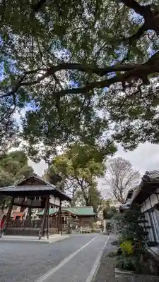 山王神社(京都府)