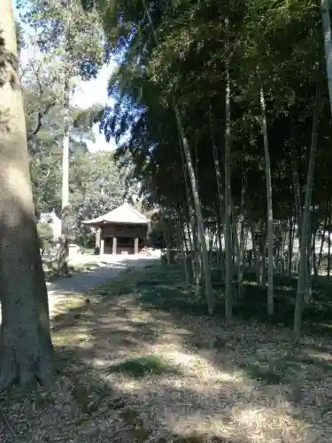 下野薬師寺 (旧 安國寺)の自然