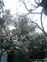 荏柄天神社のその他建物