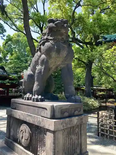 根津神社の狛犬