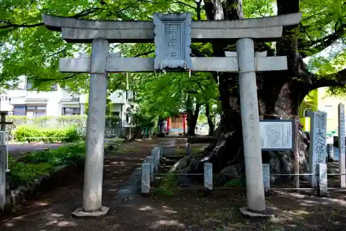 日枝社の鳥居