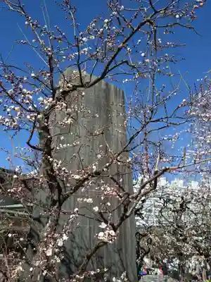 湯島天満宮(東京都)
