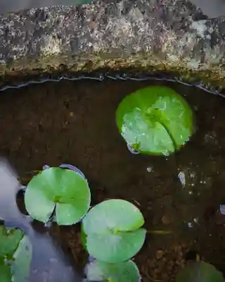 善光寺大勧進(長野県)