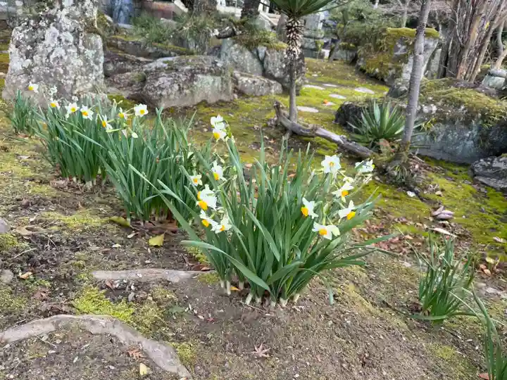 伊勢の国 四天王寺(三重県)