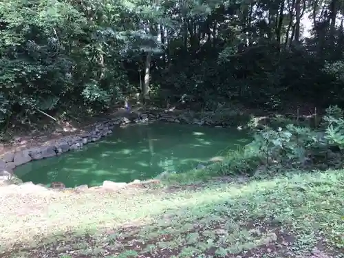 鷲宮神社の庭園