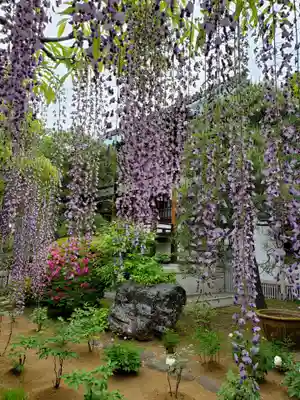 愛染院(東京都)