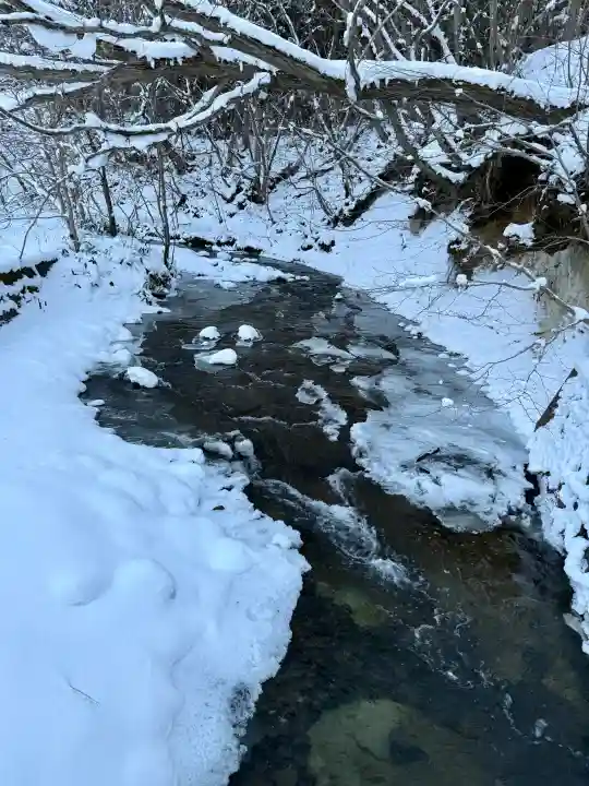 高宮神社の{uncategorized: "未分類", other: "その他", undefined: "問題あり", building: "その他建物", grave: "お墓", sacred_gate: "鳥居", guardian: "狛犬", statue: "像", buddha: "仏像", history: "歴史", nature: "自然", garden: "庭園", animal: "動物", pagoda: "塔", temizu: "手水舎", mountain_gate: "山門・神門", sanctuary: "本殿・本堂", subordinate: "末社・摂社", art: "芸術", scenery: "景色", jizo: "地蔵", ema: "絵馬", goshuin: "御朱印", omikuji: "おみくじ", items: "授与品その他", amulet: "お守り", goshuincho: "御朱印帳", eats: "食事", festival: "お祭り", votive_dance: "神楽", shichigosan: "七五三参", wedding: "結婚式", experience: "体験その他", initially: "初詣", around: "周辺", anti_infection: "感染症対策"}