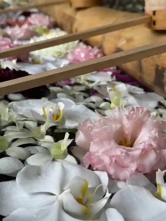 群馬県護国神社(群馬県)