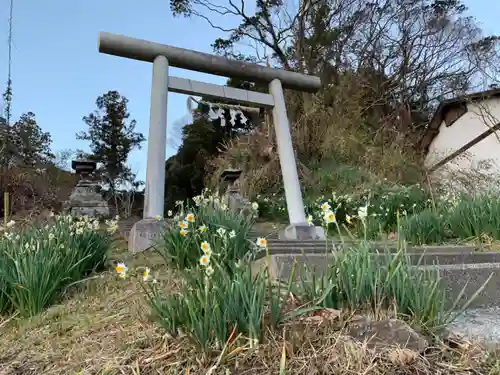 大宮神社の鳥居