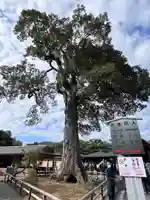 鹿苑寺(金閣寺)(京都府)