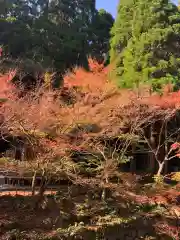 冠嶽神社の自然