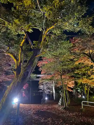 北広島市総鎮守　廣島神社(北海道)