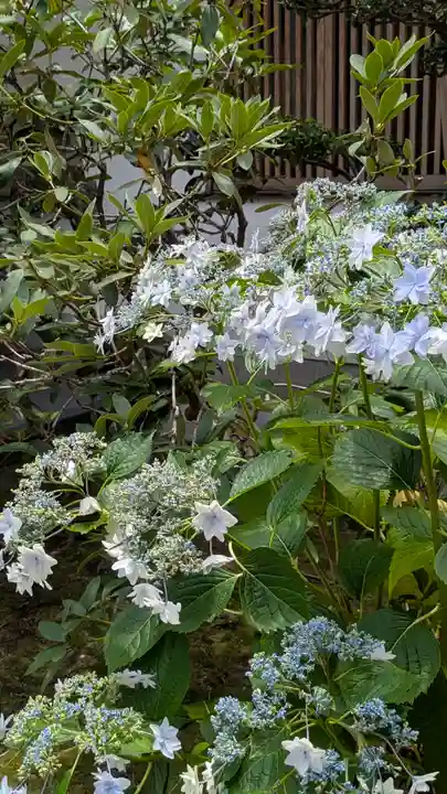 大日寺(大阪府)
