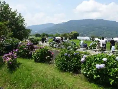 伊勢原 法泉寺の自然