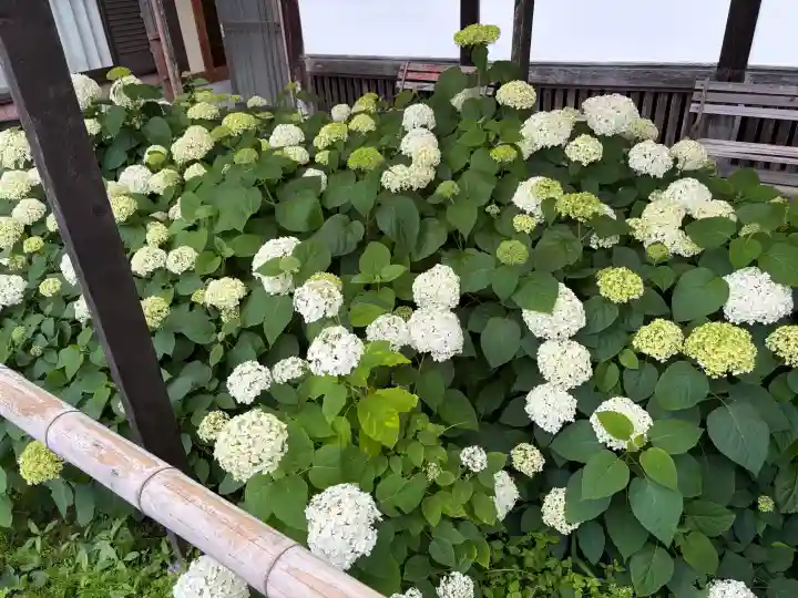 極楽寺(静岡県)