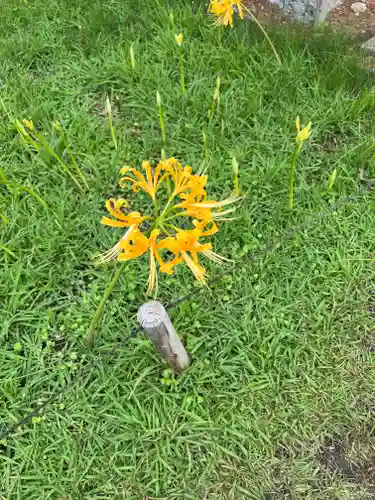 横浜　西方寺(神奈川県)