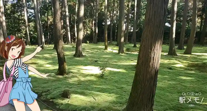 唐招提寺の庭園
