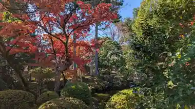 神光院(京都府)