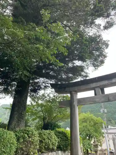 氷川神社の{uncategorized: "未分類", other: "その他", undefined: "問題あり", building: "その他建物", grave: "お墓", sacred_gate: "鳥居", guardian: "狛犬", statue: "像", buddha: "仏像", history: "歴史", nature: "自然", garden: "庭園", animal: "動物", pagoda: "塔", temizu: "手水舎", mountain_gate: "山門・神門", sanctuary: "本殿・本堂", subordinate: "末社・摂社", art: "芸術", scenery: "景色", jizo: "地蔵", ema: "絵馬", goshuin: "御朱印", omikuji: "おみくじ", items: "授与品その他", amulet: "お守り", goshuincho: "御朱印帳", eats: "食事", festival: "お祭り", votive_dance: "神楽", shichigosan: "七五三参", wedding: "結婚式", experience: "体験その他", initially: "初詣", around: "周辺", anti_infection: "感染症対策"}